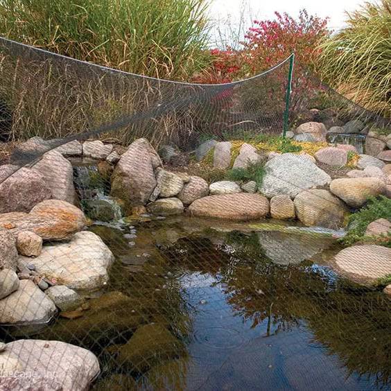 Pond Leaf Netting Over Pond